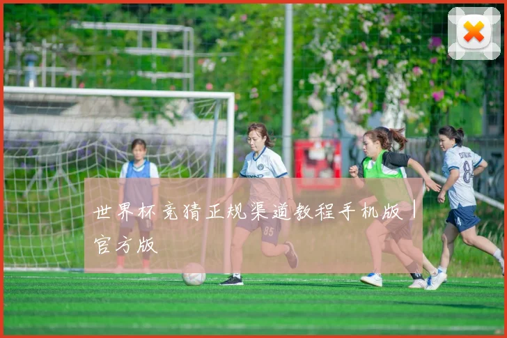 世界杯竞猜正规渠道教程手机版｜官方版