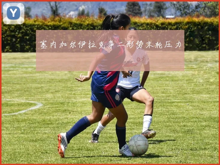 塞内加尔伊拉克争二形势末轮压力