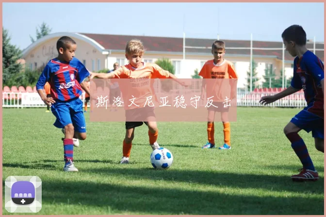 斯洛文尼亚稳守反击